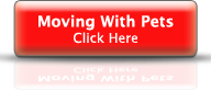  Moving With Pets 